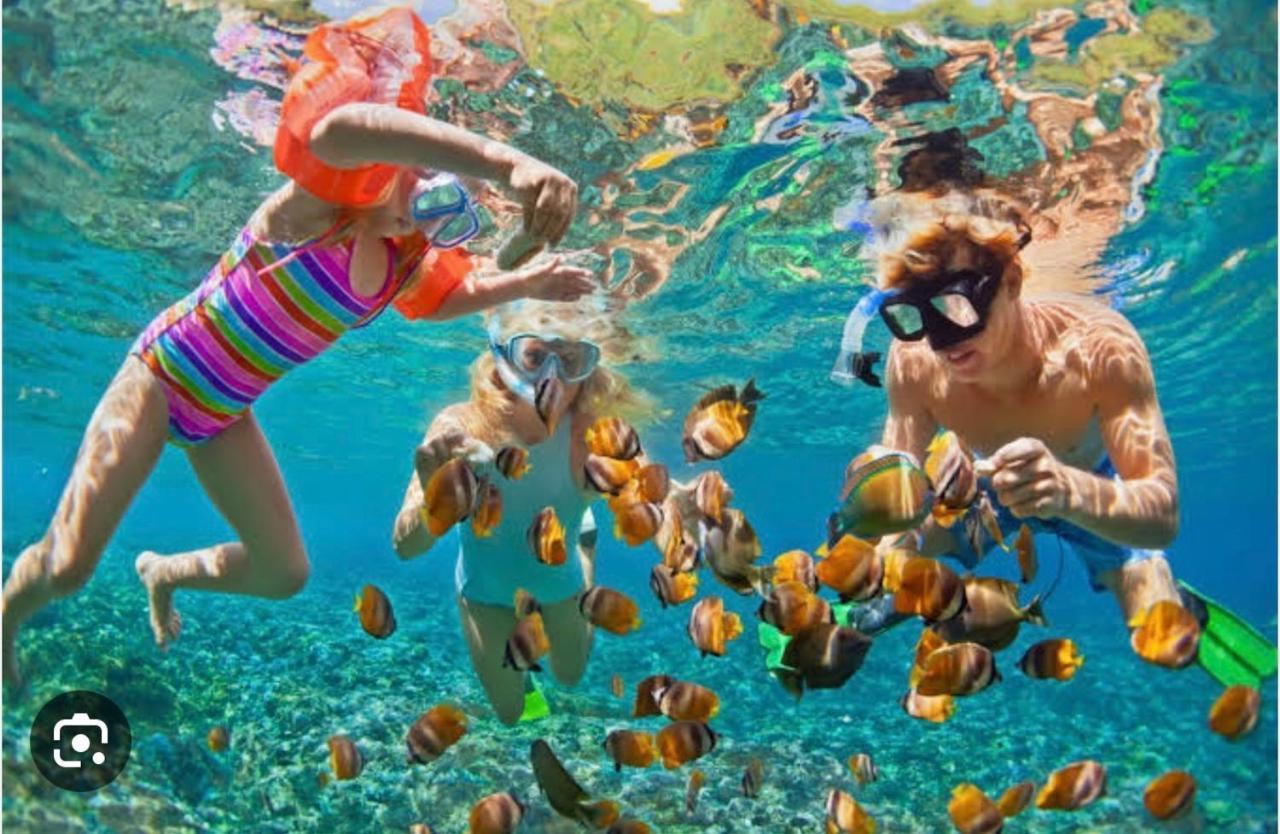 Casa Marene Leilighet Puerto Morelos Eksteriør bilde